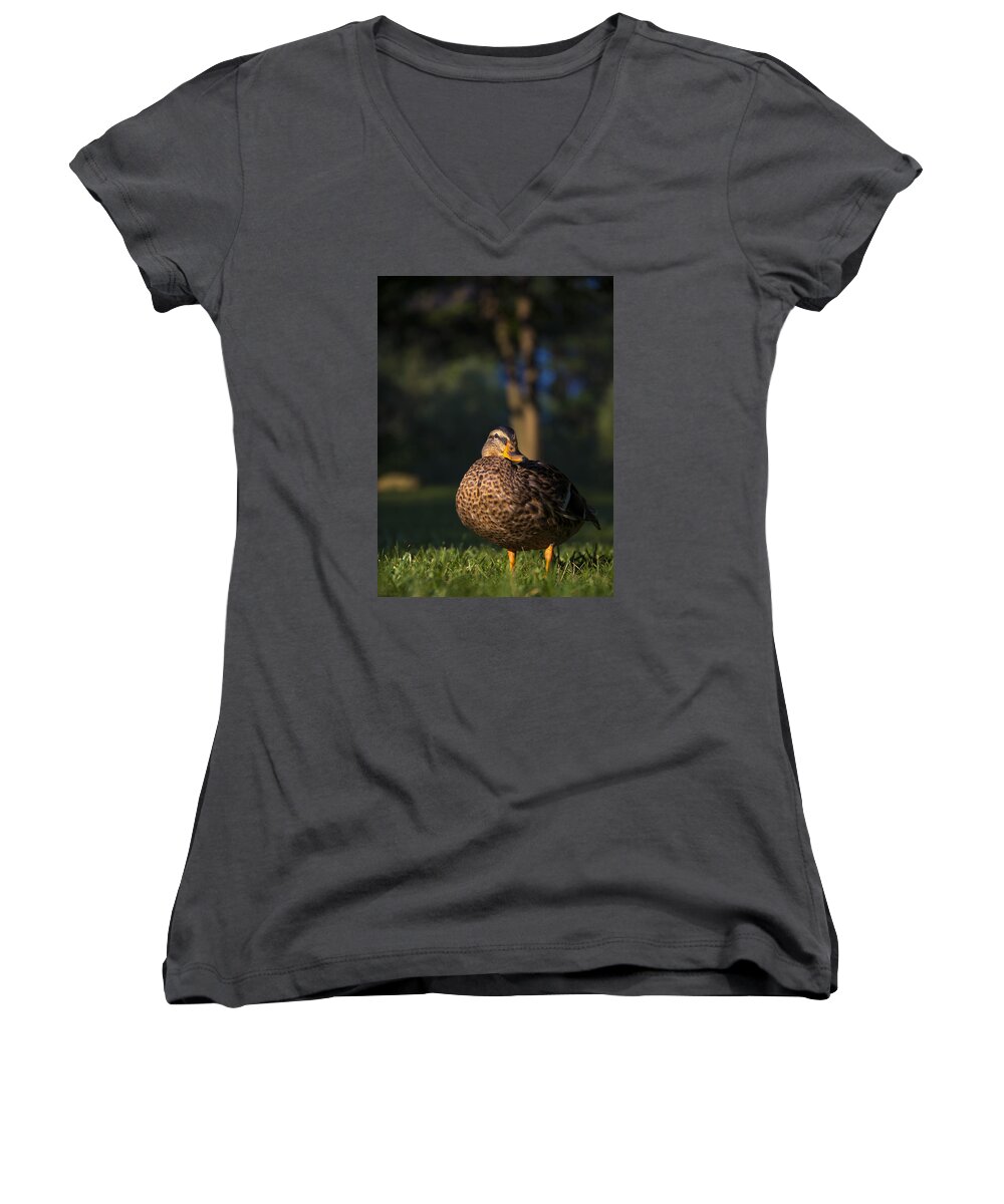 American Black Duck Women's V-Neck featuring the photograph Soak up the sun by Mark Papke