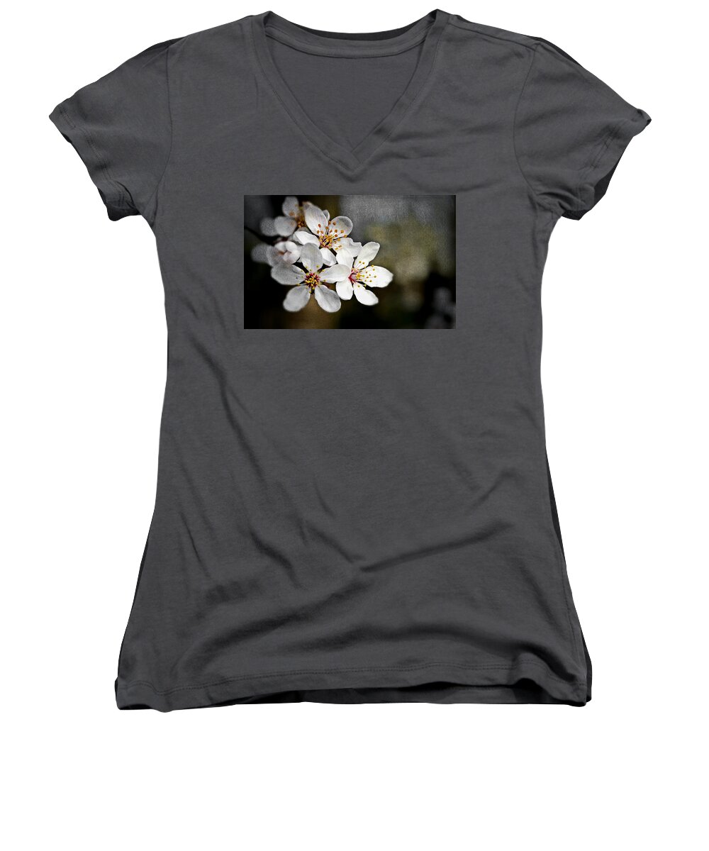 Blossoms Women's V-Neck featuring the photograph Spring blossoms by Rumiana Nikolova