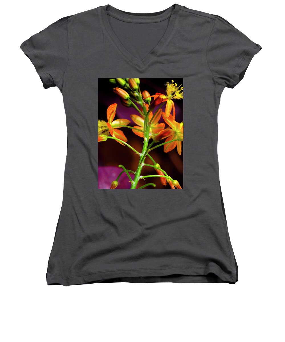 Flower Women's V-Neck featuring the photograph Spring Blossoms 3 by Stephen Anderson