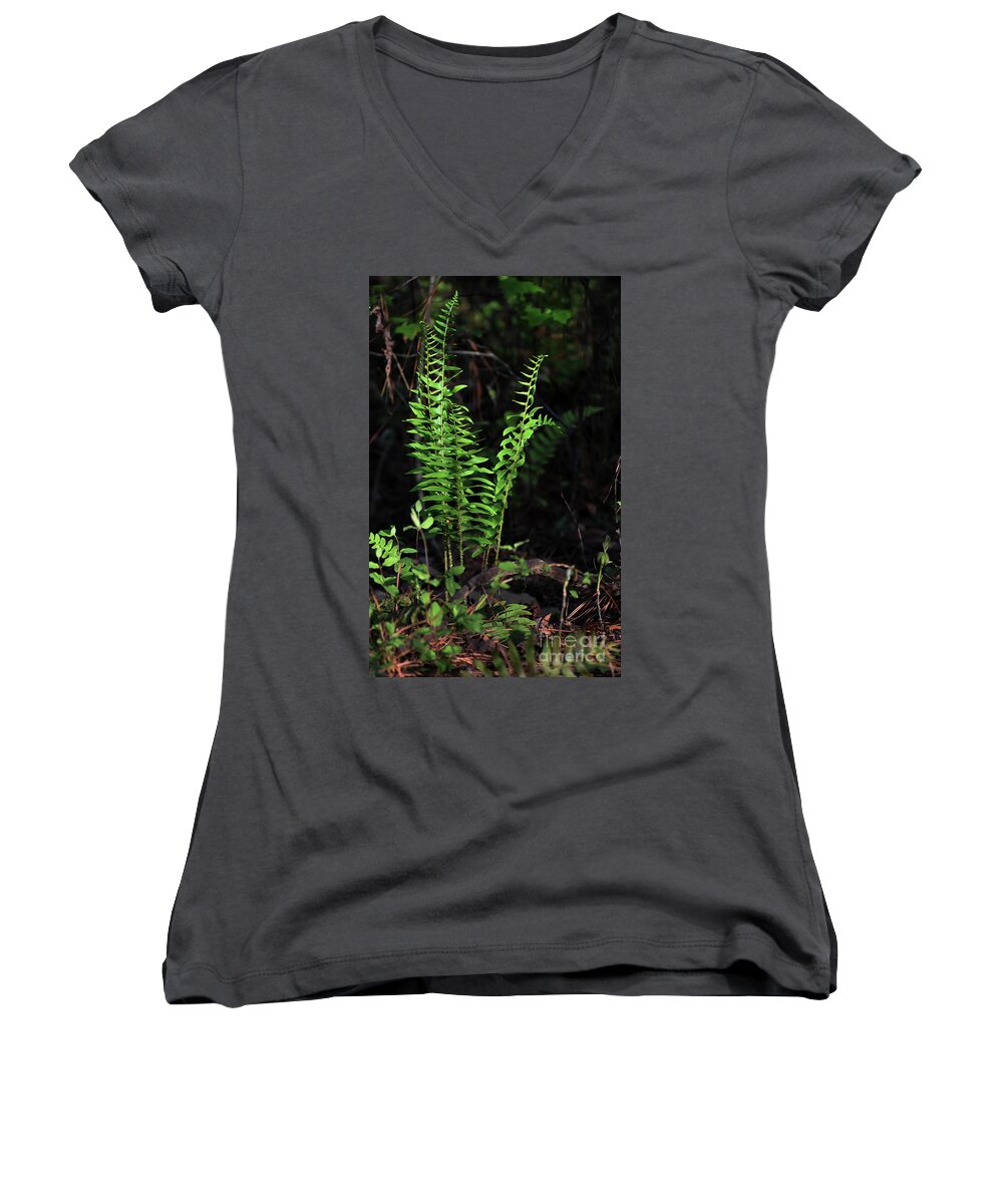 Nature Women's V-Neck featuring the photograph Spring Ferns by Skip Willits