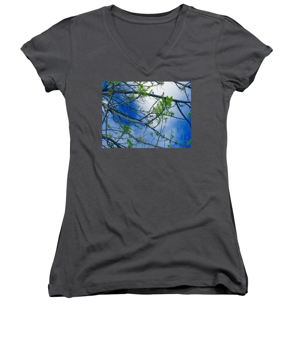 Spring Women's V-Neck featuring the photograph Spring Is In the Air by Etta Harris
