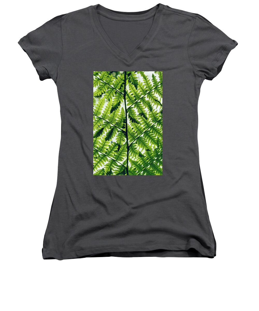 Nature Women's V-Neck featuring the photograph Spring Symmetry by Gene Garnace