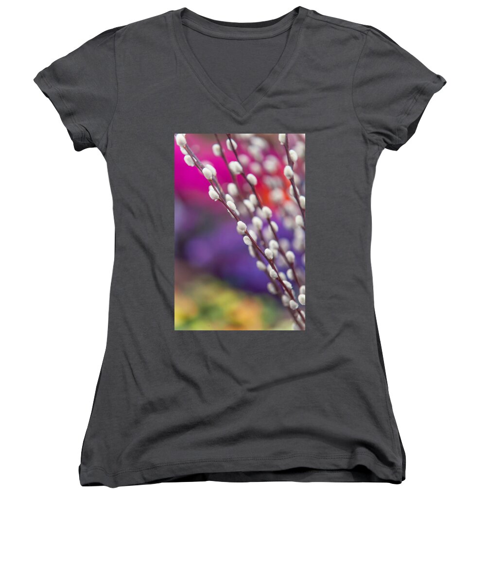 Jenny Rainbow Fine Art Photography Women's V-Neck featuring the photograph Spring willow branch of white furry catkins by Jenny Rainbow