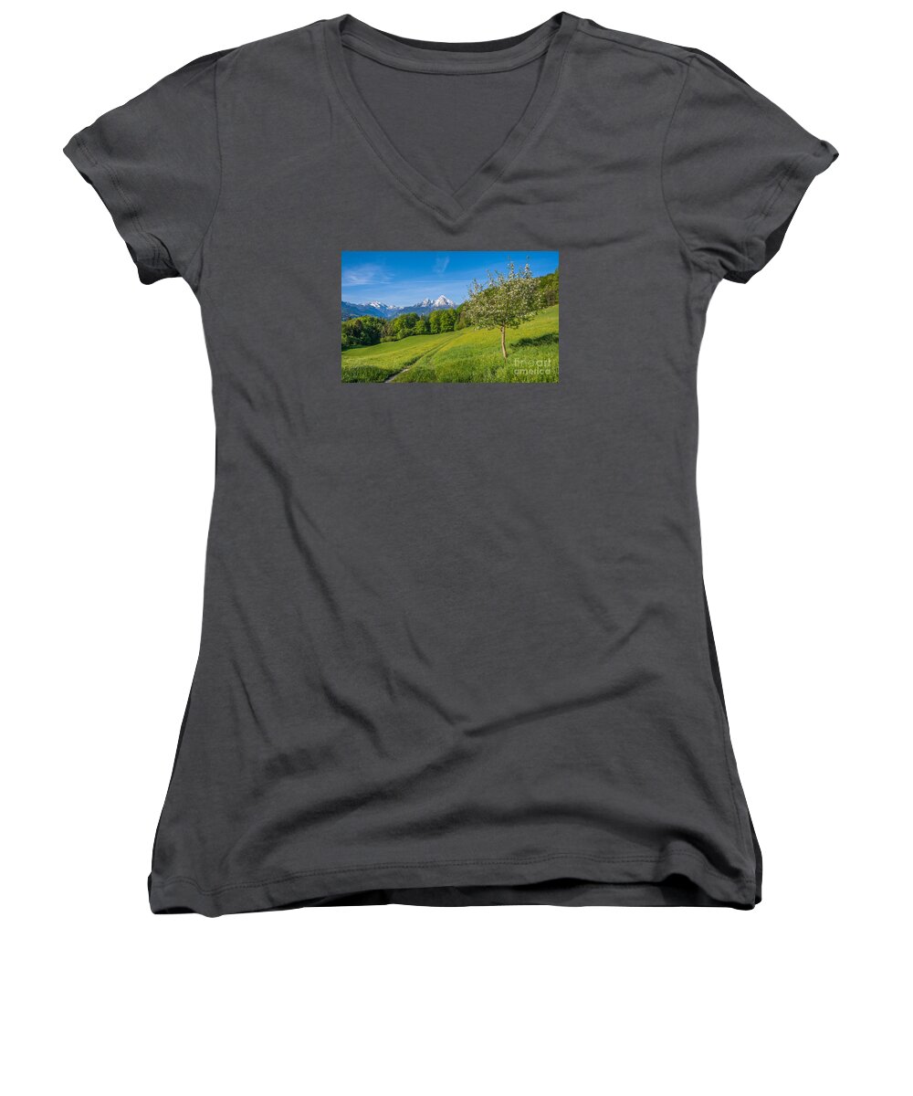 Alpine Women's V-Neck featuring the photograph Springlike alpine mountain landscape with flowers and blooming fruit tree by JR Photography