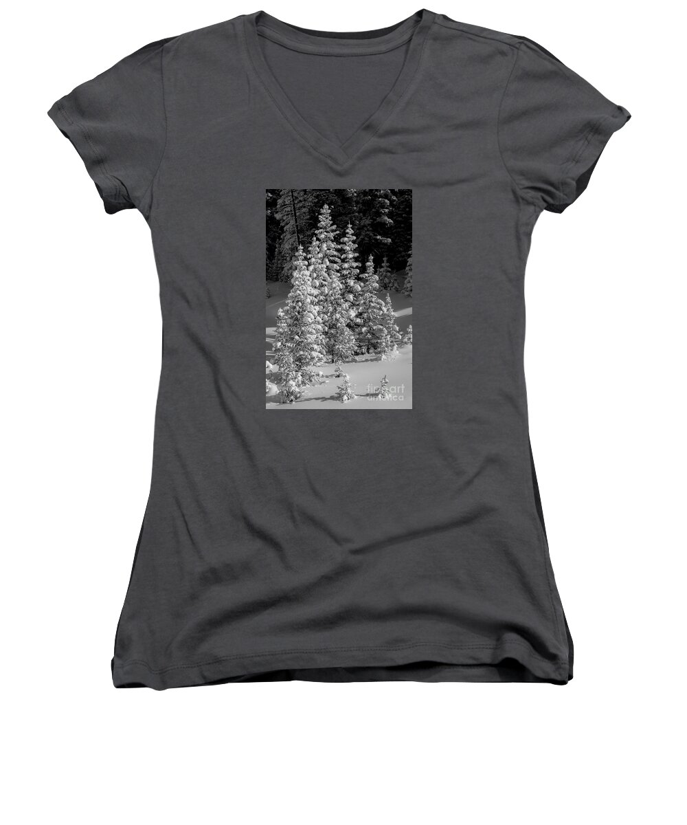 Snow Women's V-Neck featuring the photograph Standing Tall by Angela Moyer