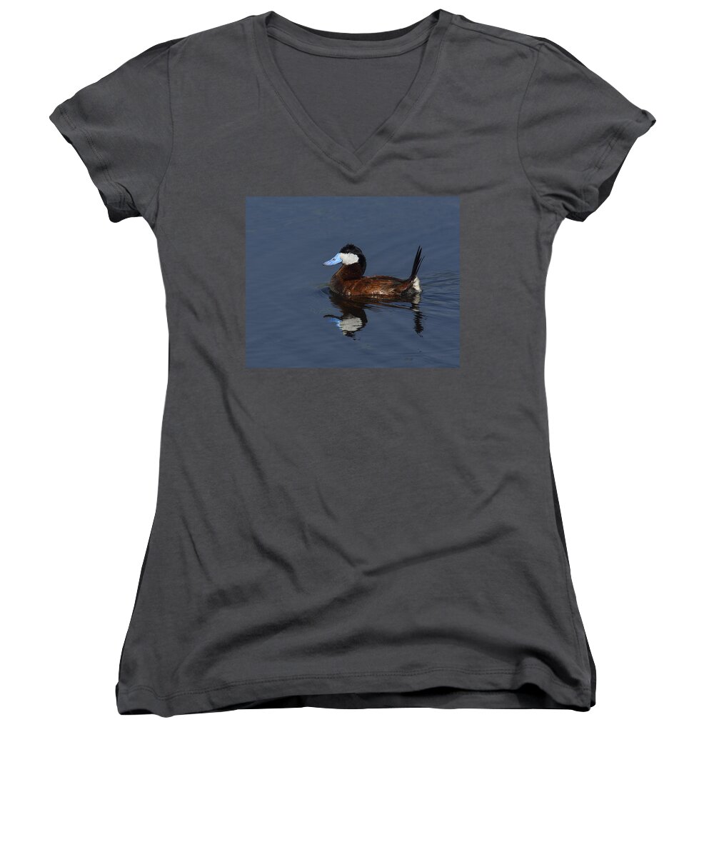 Ruddy Duck Women's V-Neck featuring the photograph Stiff Tail by Tony Beck