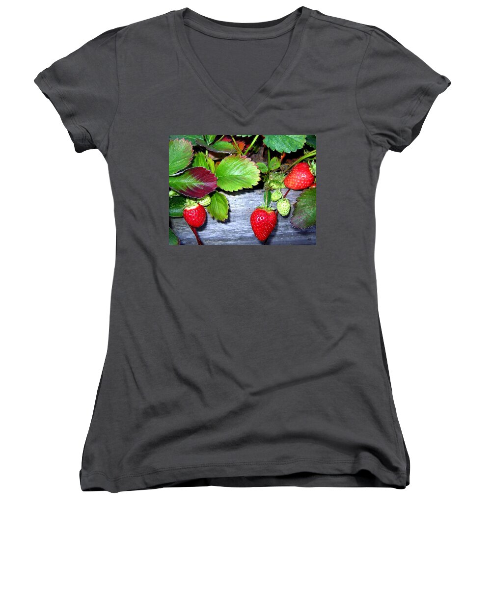 Strawberries Women's V-Neck featuring the photograph Strawberries by Will Borden
