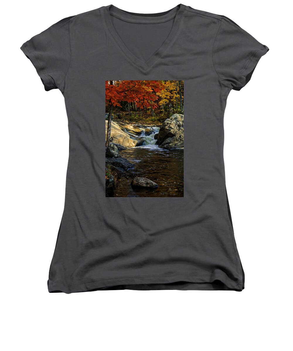 Autumn Women's V-Neck featuring the photograph Stream In Autumn No.17 by Mark Myhaver