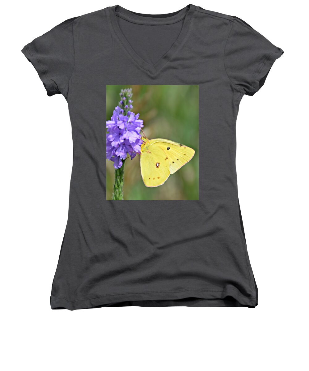 Sulfur Butterfly Women's V-Neck featuring the photograph Sulfur Butterfly by Kathy M Krause