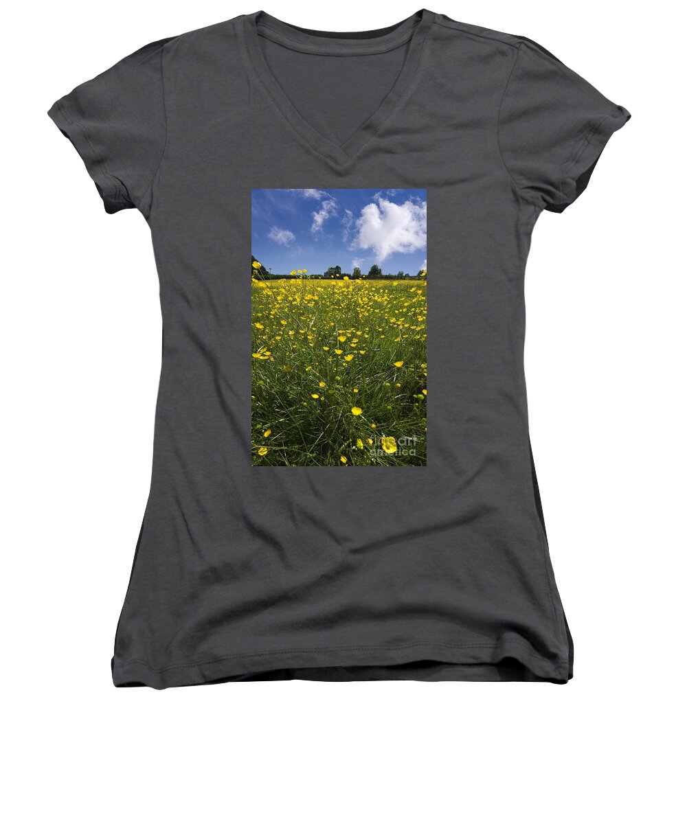 Agriculture Women's V-Neck featuring the photograph Summer Buttercups by Meirion Matthias
