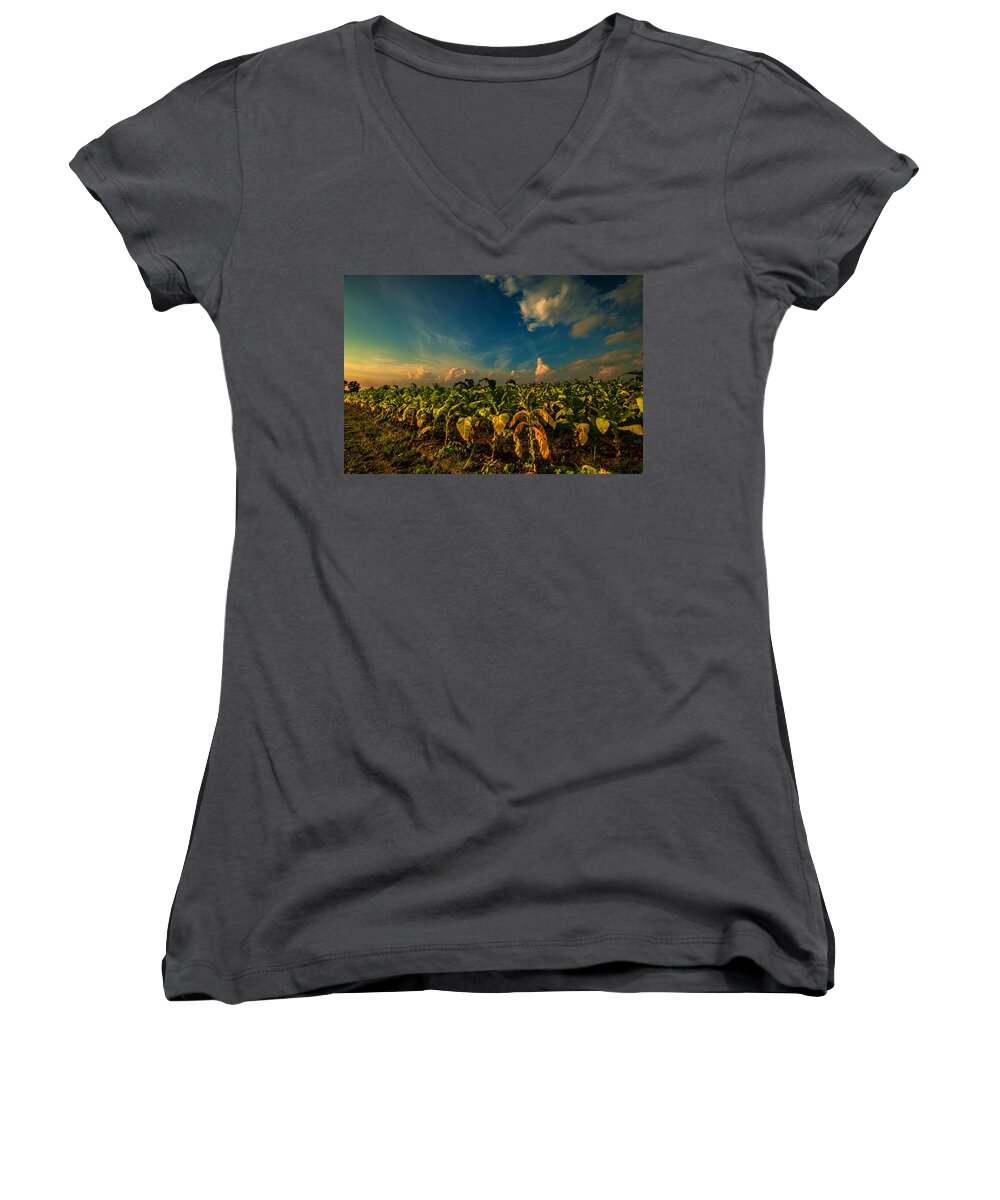 Summer Tobacco Framed Prints Women's V-Neck featuring the photograph Summer Tobacco by John Harding