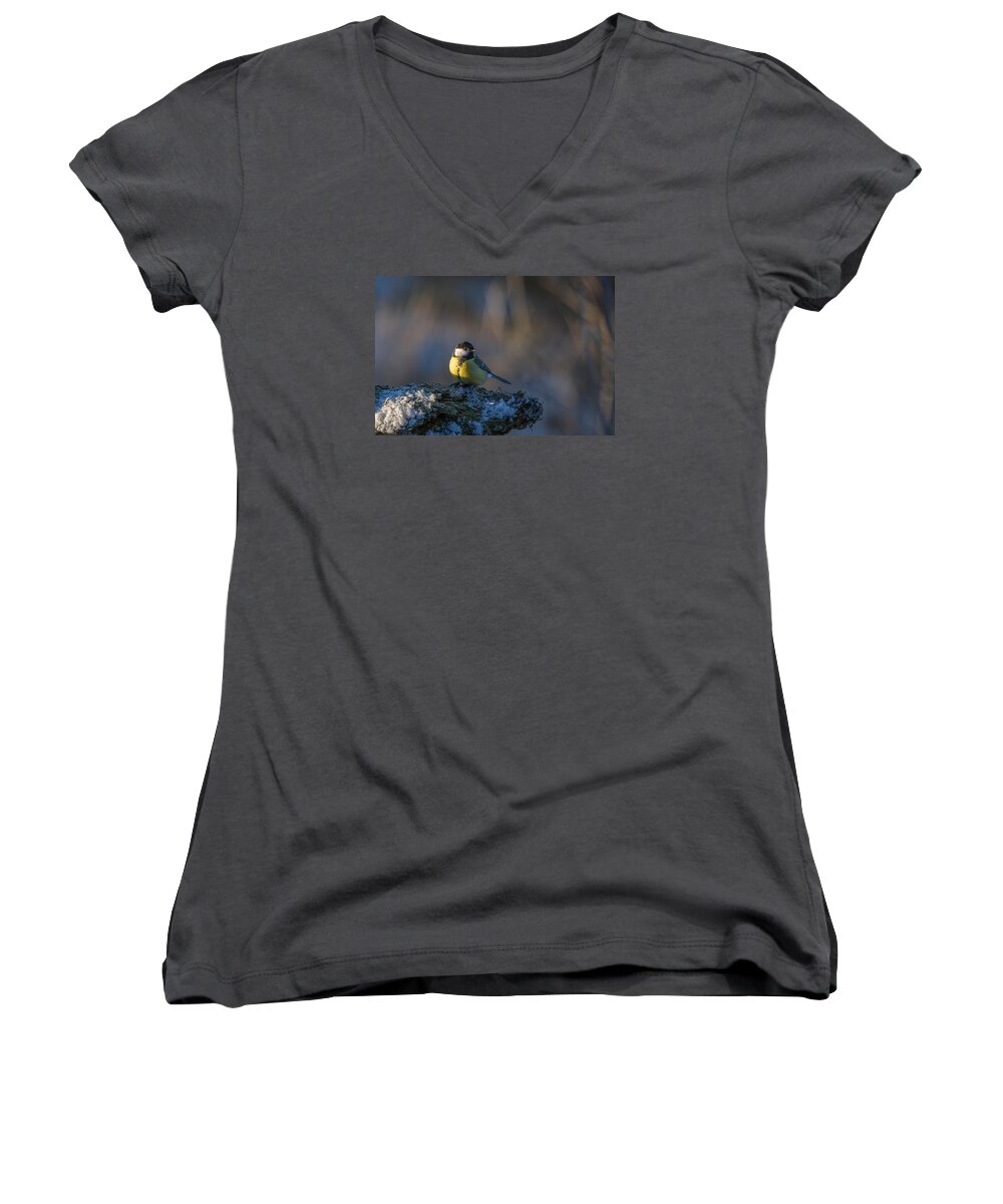 Sun In The Eye Women's V-Neck featuring the photograph Sun in the Eye by Torbjorn Swenelius