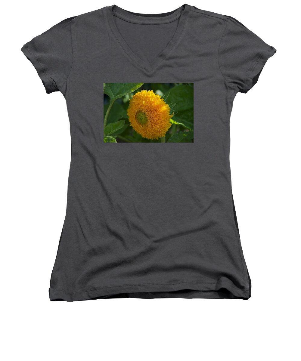 Flower Women's V-Neck featuring the photograph Sun by Joseph Yarbrough