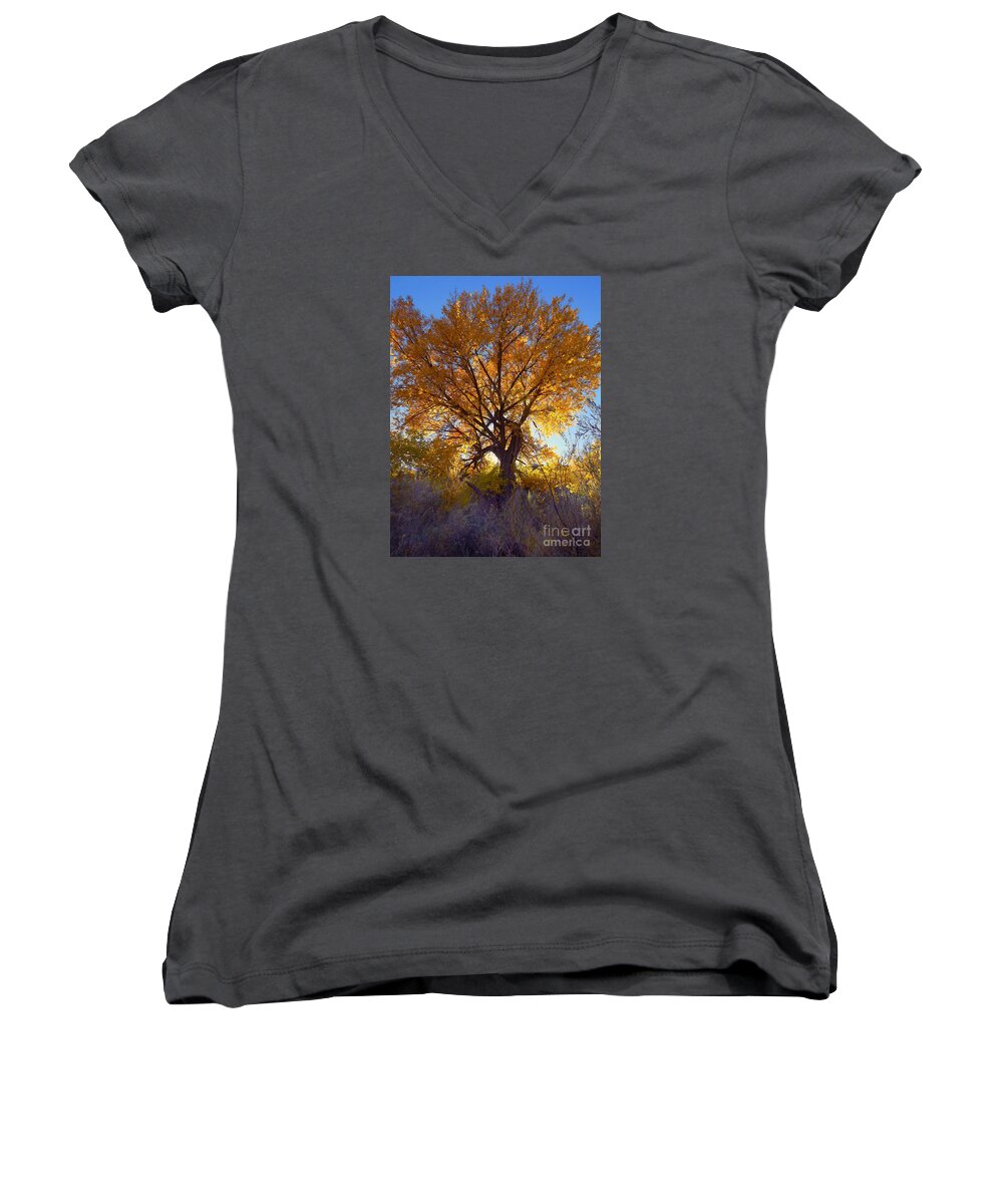 Golden White Light Shining Through The Leaves Women's V-Neck featuring the digital art Sun through golden leaves by Annie Gibbons