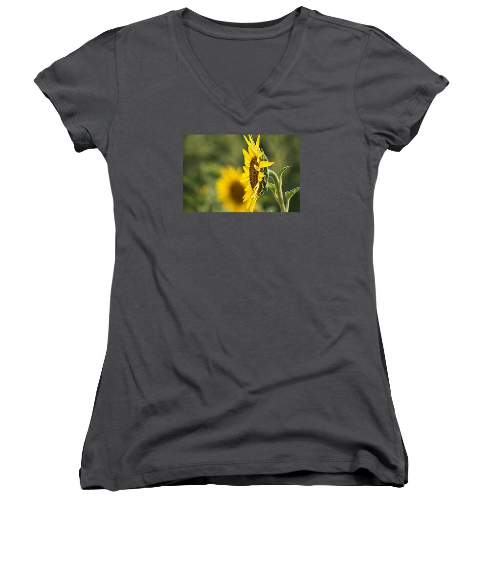 Sunflower Women's V-Neck featuring the photograph Sunflower Delight by Kathy Churchman