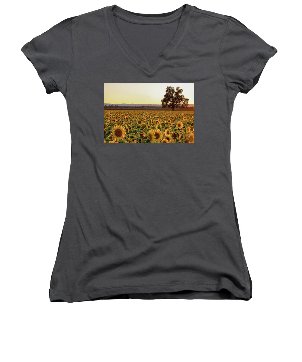 Sunflowers Women's V-Neck featuring the photograph Sunflower Field with Old Oak by Robin Mayoff