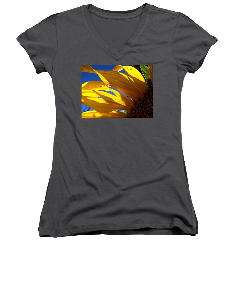 Flowers Women's V-Neck featuring the photograph Sunflower Shadows by Harold Zimmer