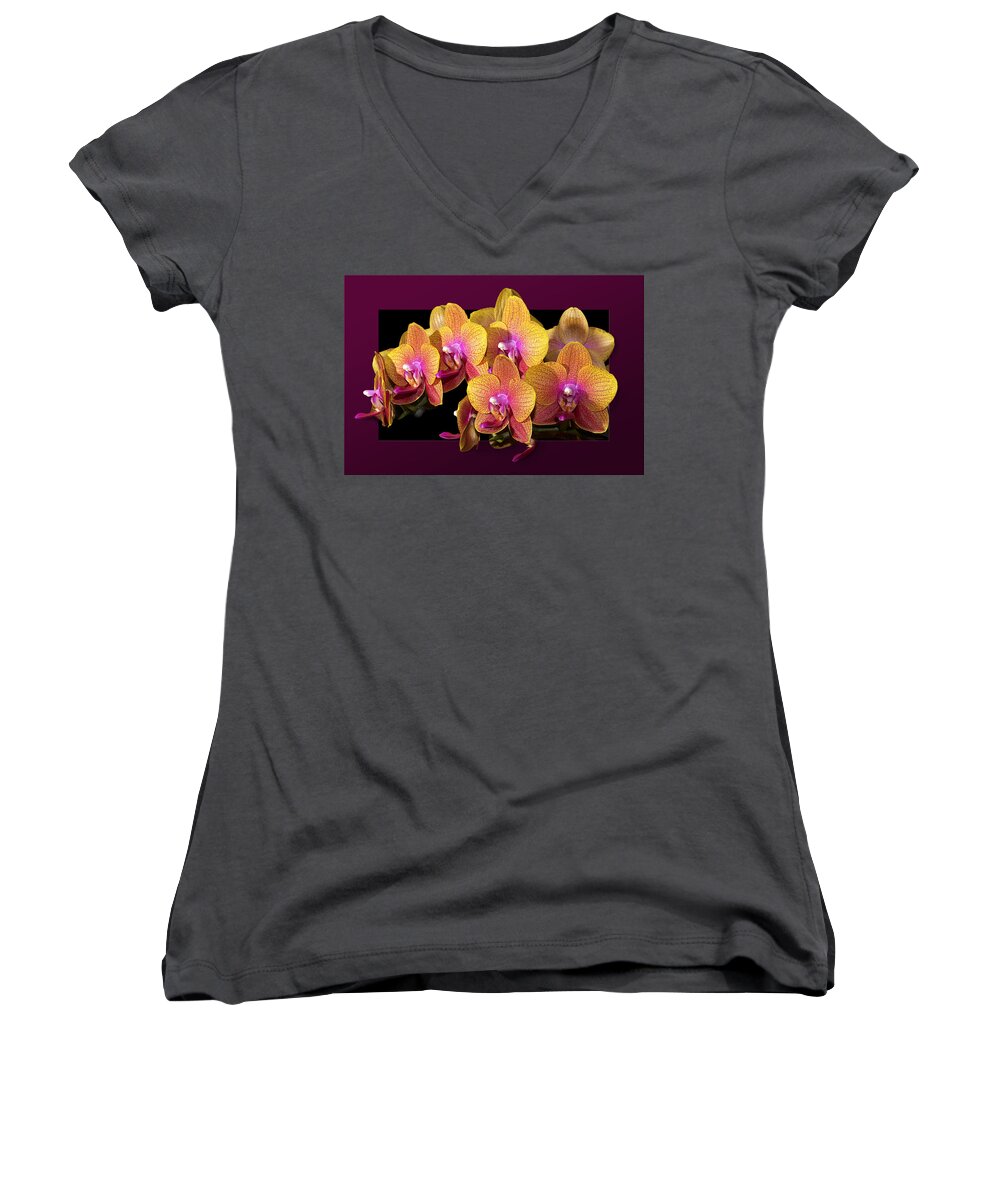 Orchid Women's V-Neck featuring the photograph Sunny Faces by Phyllis Denton