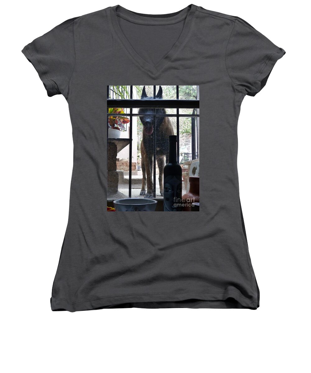 The Malinois Women's V-Neck featuring the photograph Surprise Visitor by Rosanne Licciardi