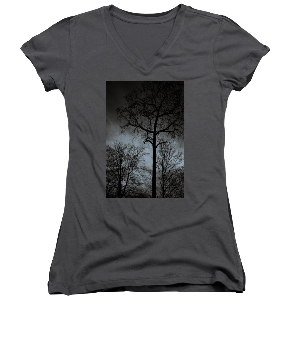 Winterpacht Women's V-Neck featuring the photograph Surrounded by Miguel Winterpacht