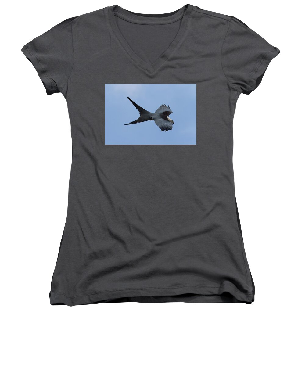 Swallow-tailed Kite Women's V-Neck featuring the photograph Swallow-tailed Kite #1 by Paul Rebmann