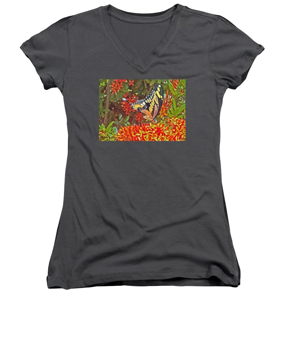 Butterfly Women's V-Neck featuring the photograph Swallowtail by T Guy Spencer