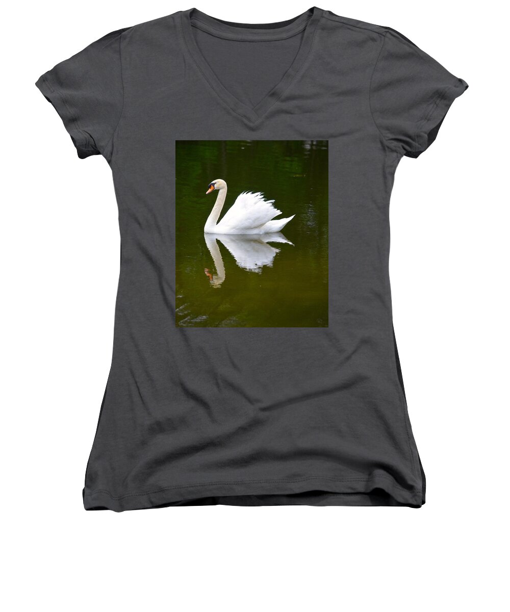 Swan Women's V-Neck featuring the photograph Swan Reflecting by Richard Bryce and Family