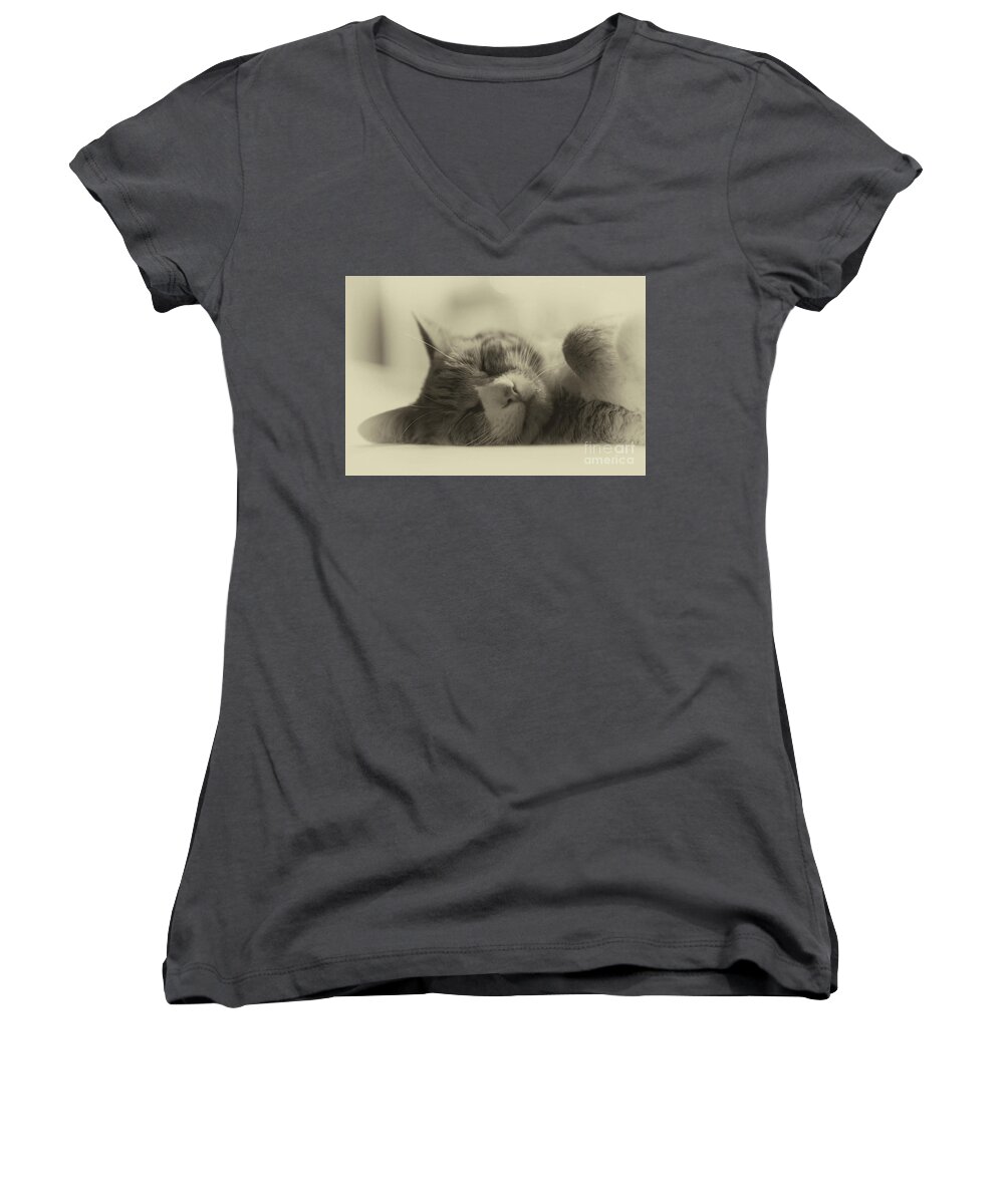 Cat Women's V-Neck featuring the photograph Sweet Dreams by Nicki McManus
