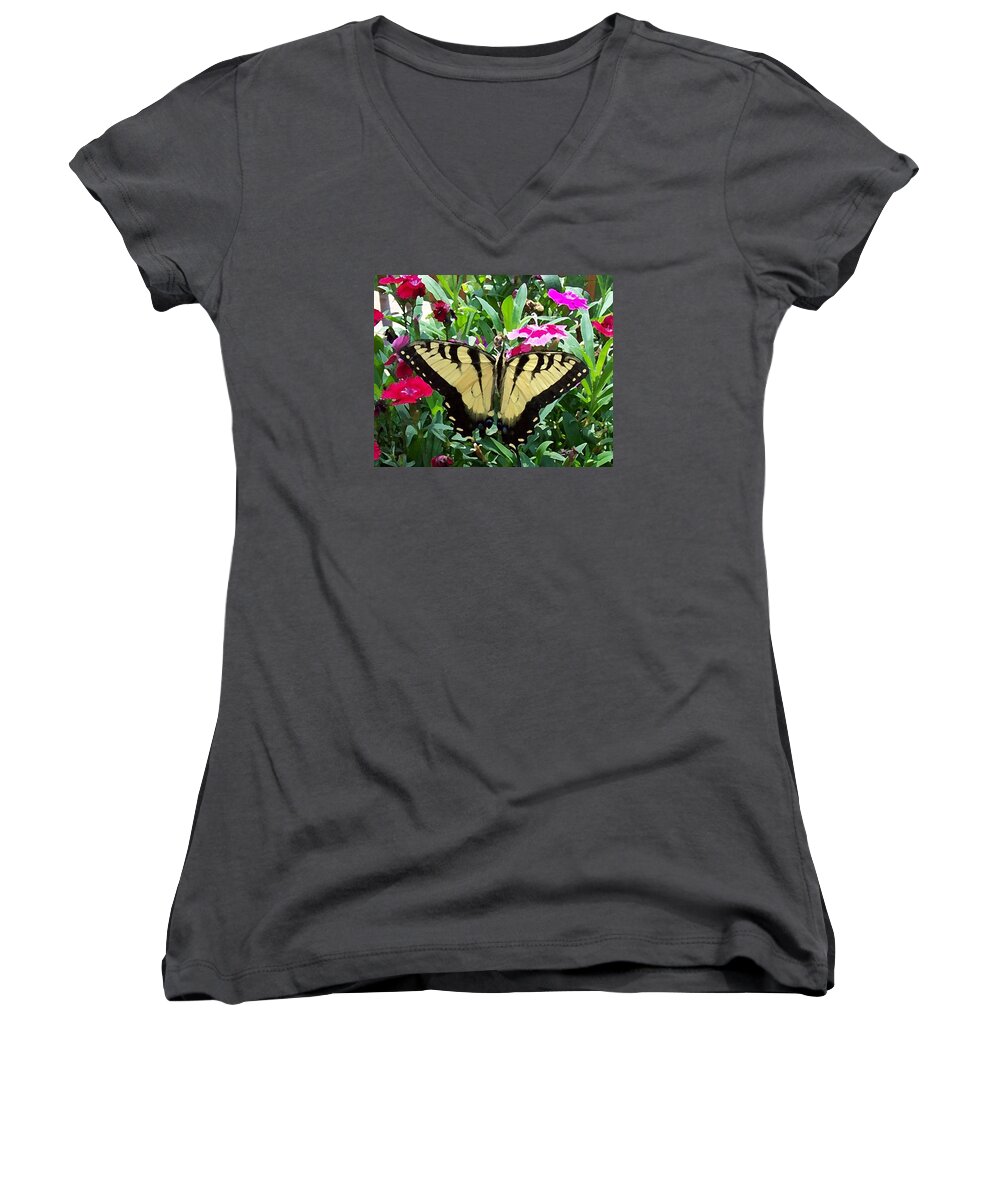 Swallowtail Women's V-Neck featuring the photograph Symmetry by Sandi OReilly