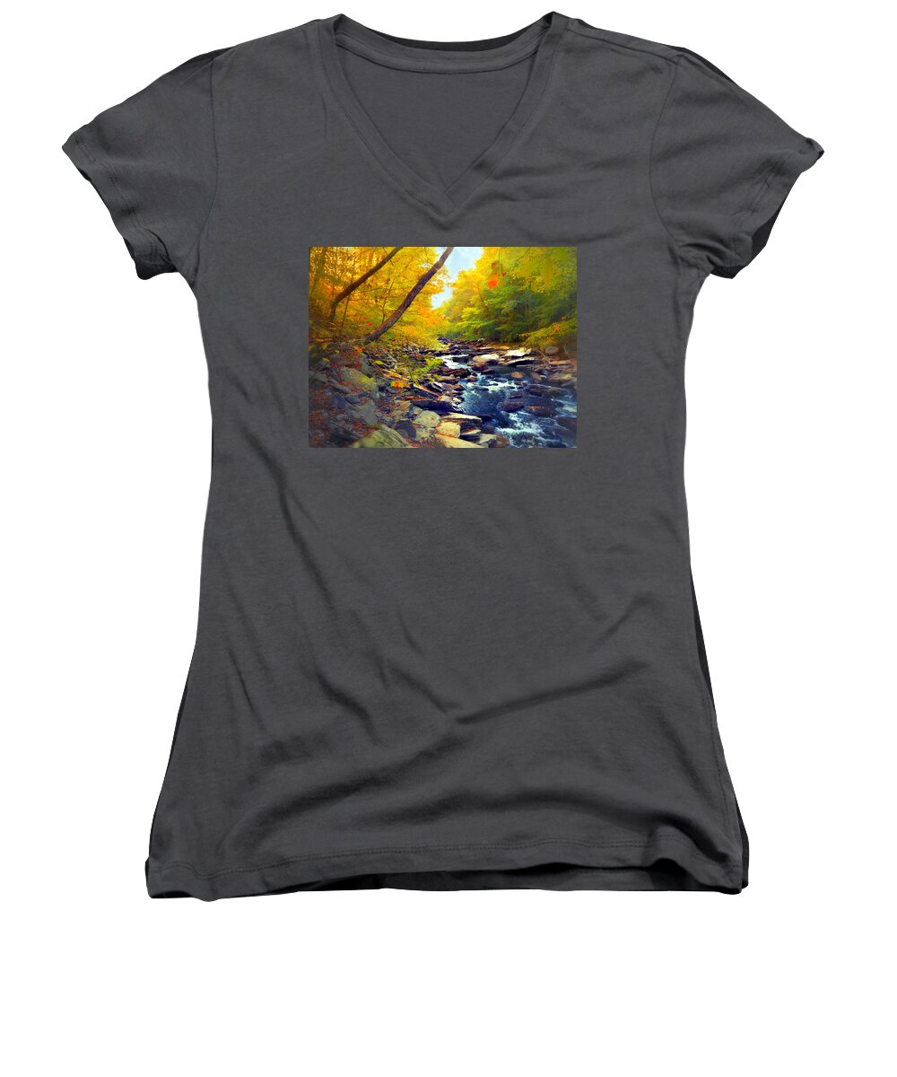 Tellico Plains Women's V-Neck featuring the photograph Take Me Home...... by Tanya Tanski