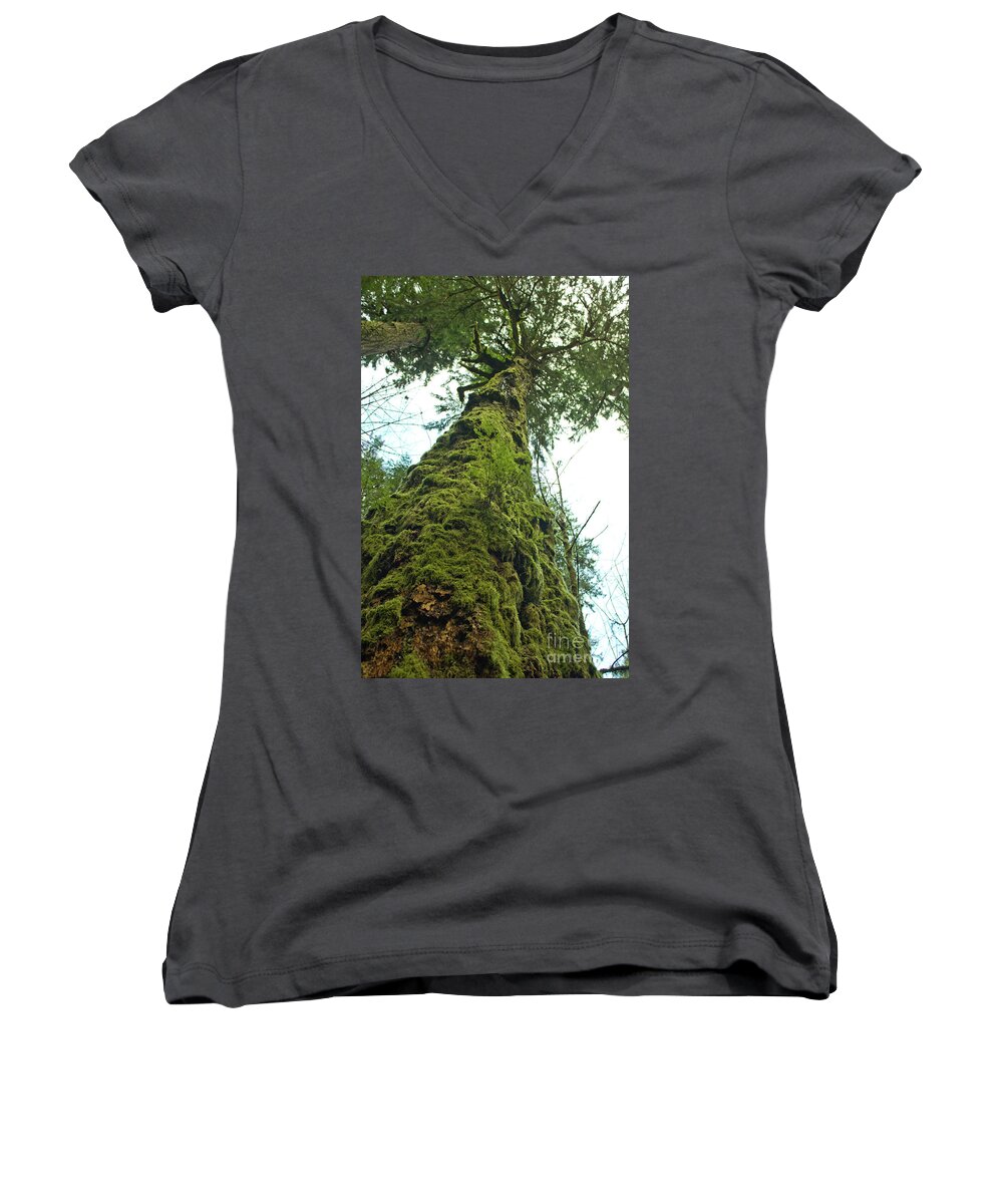 Vancouver Island Women's V-Neck featuring the photograph Tall tall tree by Donna L Munro