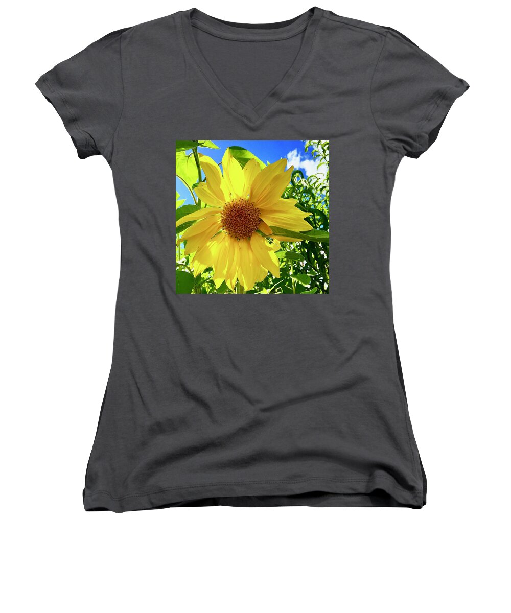 Sunflower Women's V-Neck featuring the photograph Tangled Sunflower by Brian Eberly