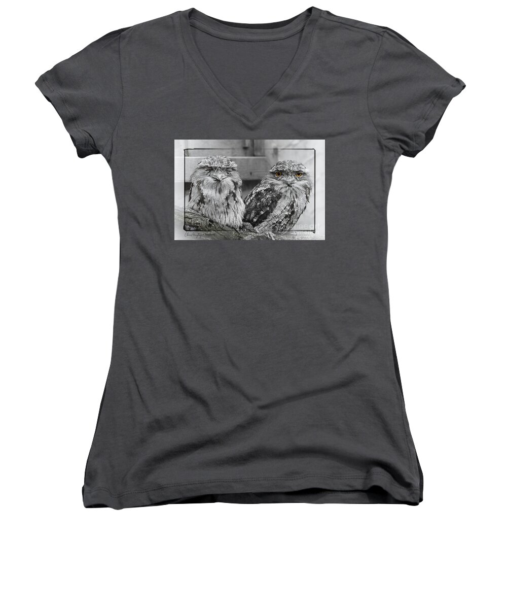Two Women's V-Neck featuring the photograph Tawney Frogmouths by Chris Armytage