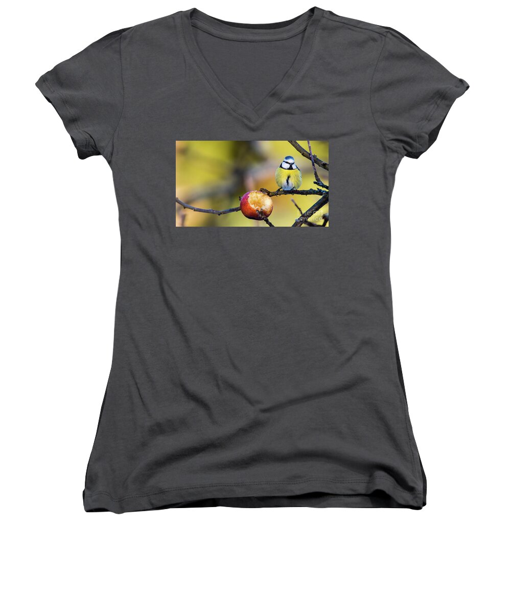 Cyanistes Caeruleus Women's V-Neck featuring the photograph Tempting by Torbjorn Swenelius