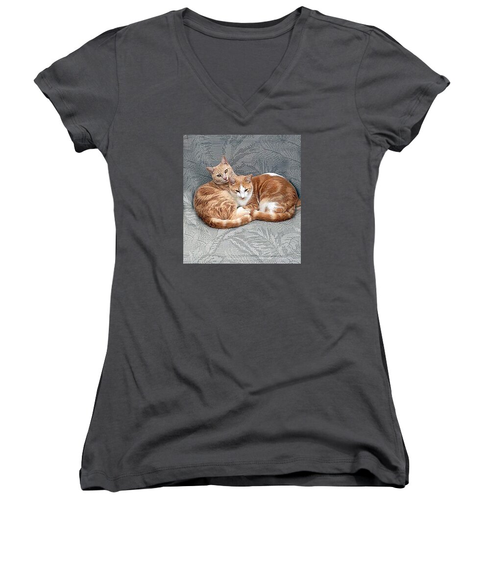 Cat Women's V-Neck featuring the photograph The Boys by Bob Johnson