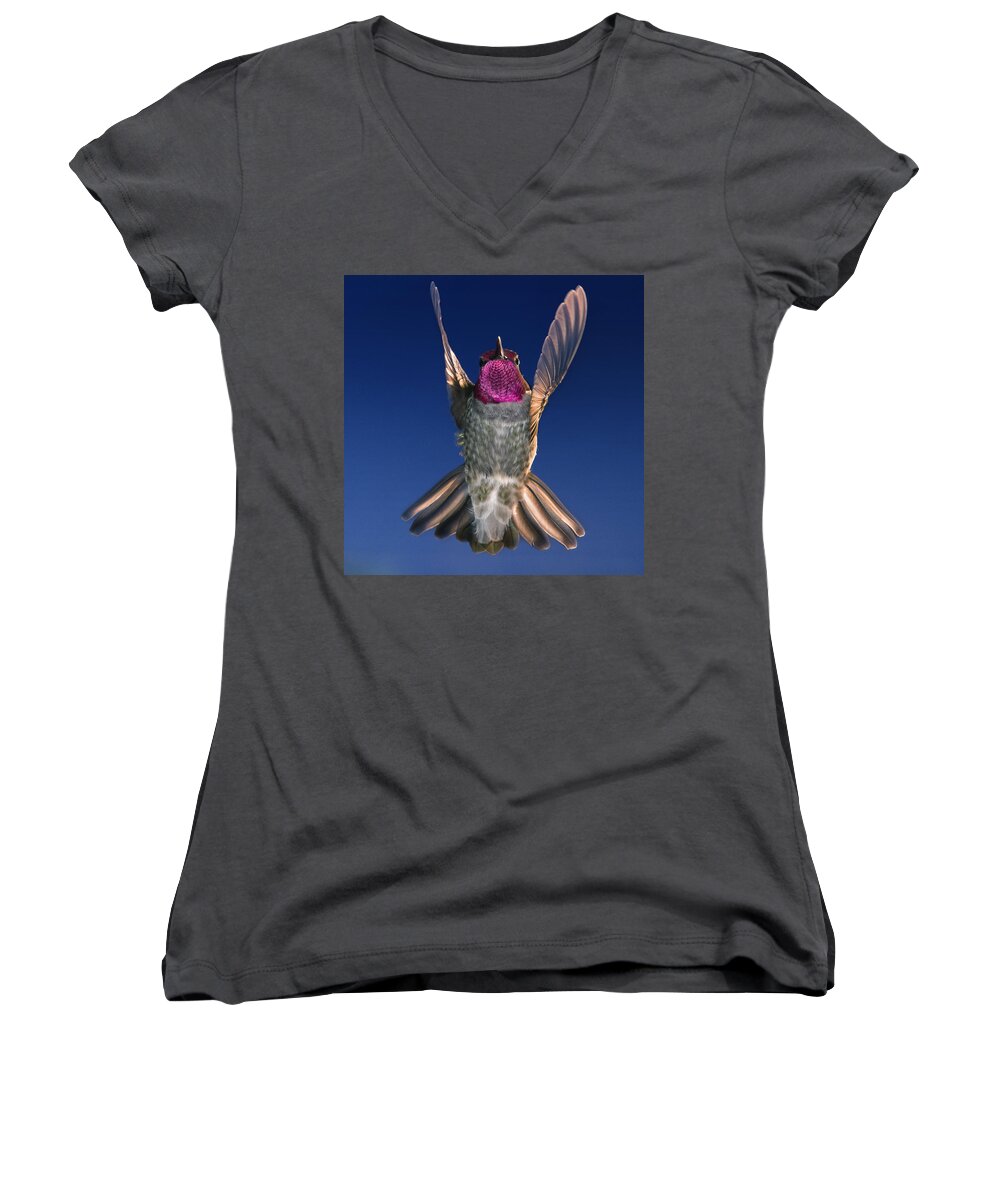 Hummingbird Women's V-Neck featuring the photograph The Conductor of Hummer Air Orchestra by William Lee