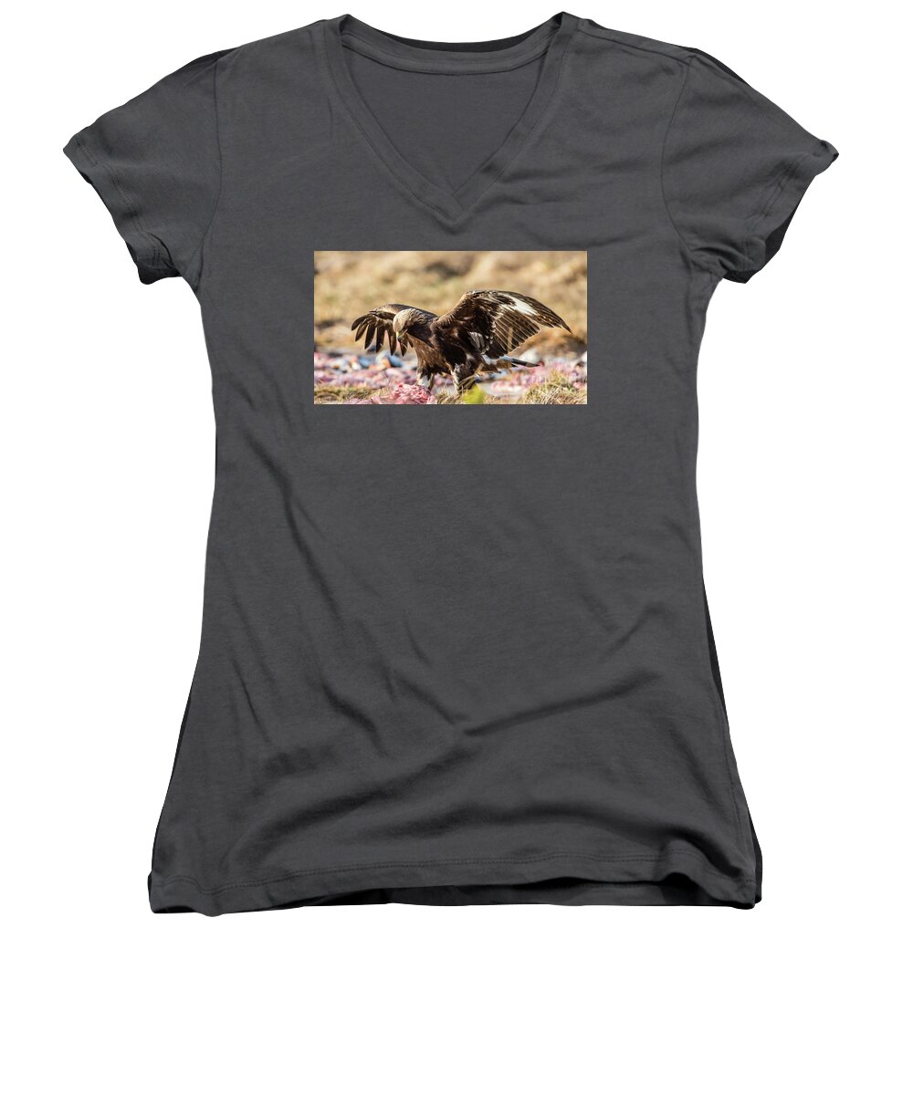 Golden Eagle Women's V-Neck featuring the photograph The Eagle have come down by Torbjorn Swenelius