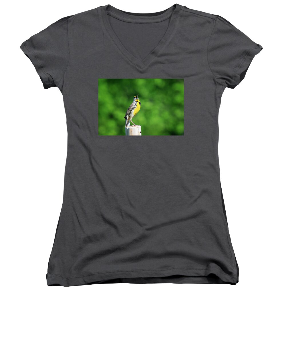 Gary Hall Women's V-Neck featuring the photograph The Entertainer by Gary Hall
