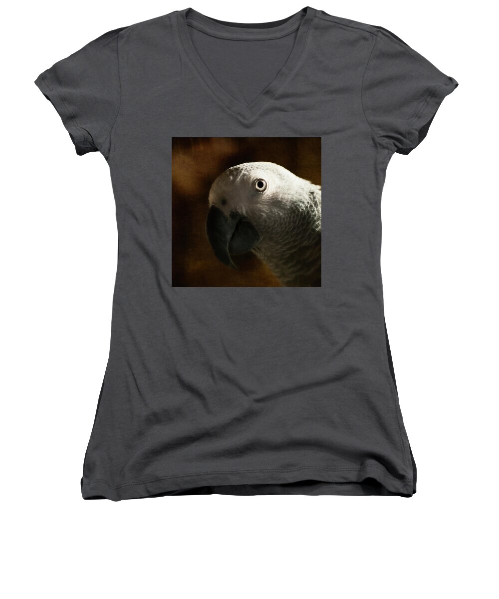 African Grey Women's V-Neck featuring the photograph The Eyes Are The Windows To The Soul by Jennifer Grossnickle