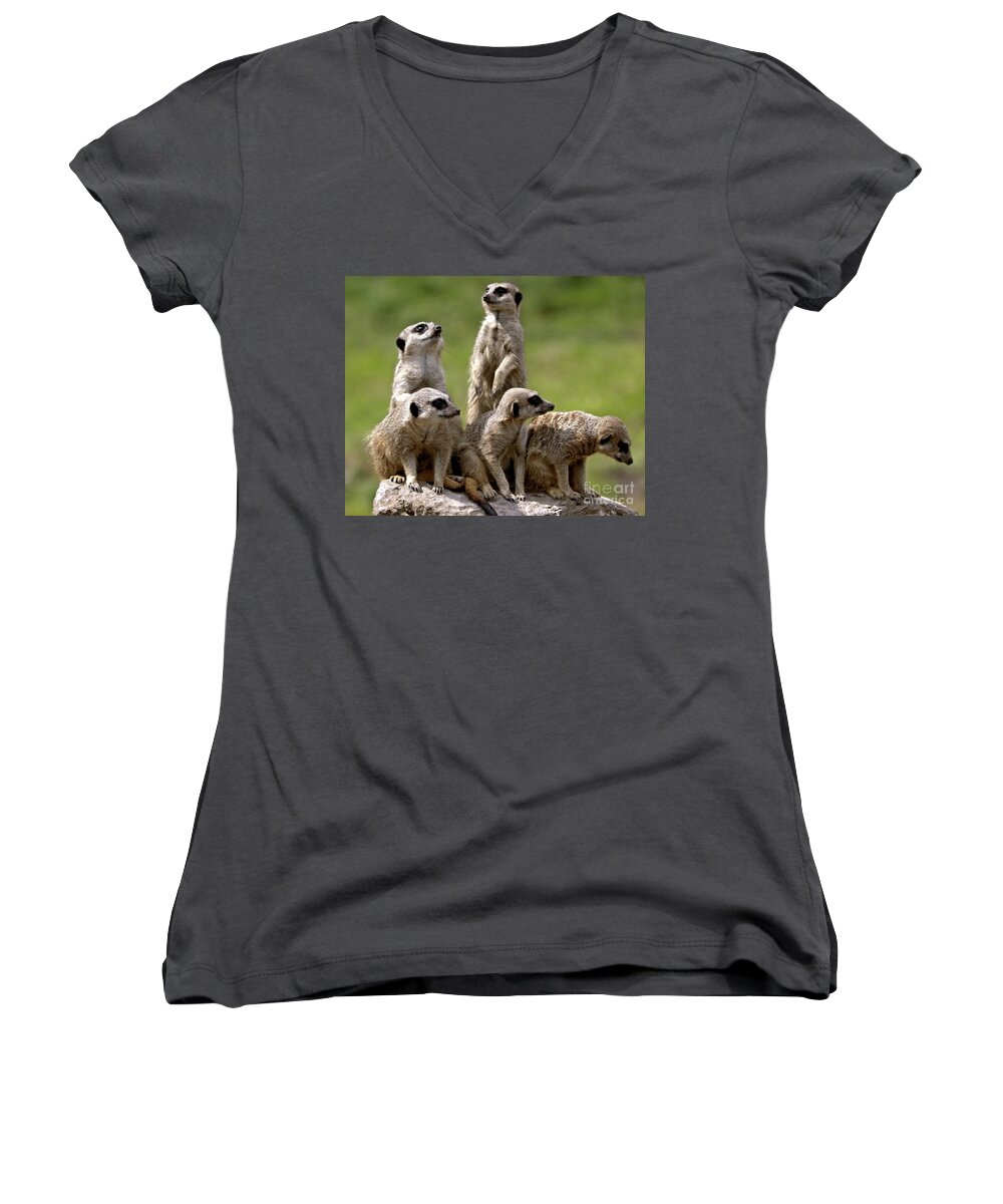 Animal Women's V-Neck featuring the photograph The Management by Stephen Melia