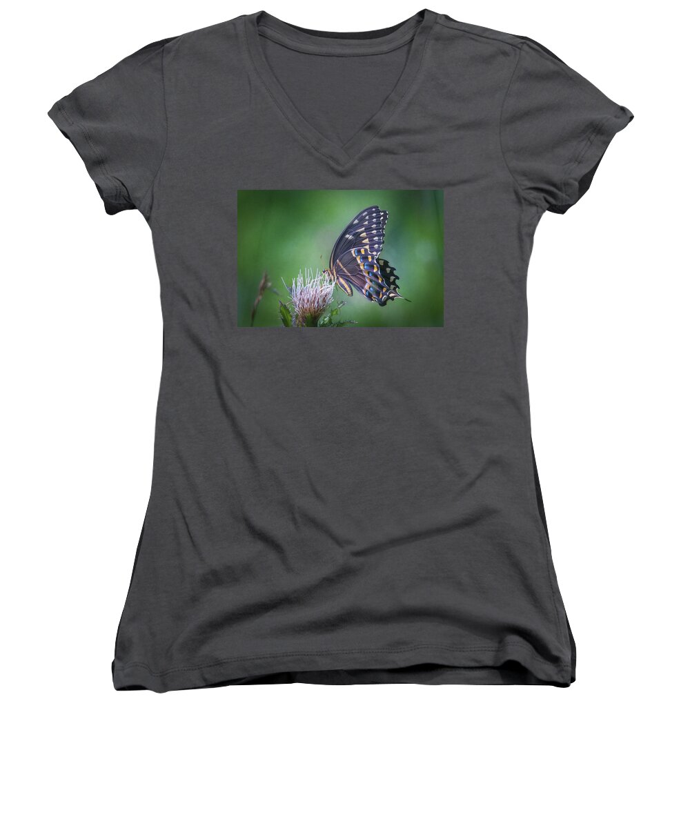Photograph Women's V-Neck featuring the photograph The Mattamuskeet Butterfly by Cindy Lark Hartman