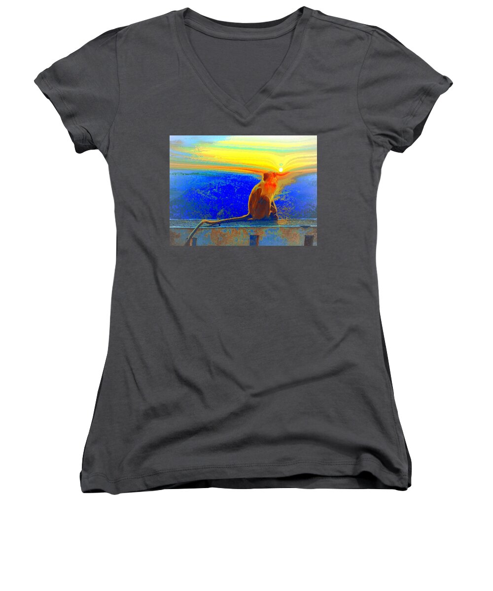 Primary Colors Women's V-Neck featuring the photograph The Monkey Who Stole My Sunset Primary Colors Abstract 1a by Sue Jacobi