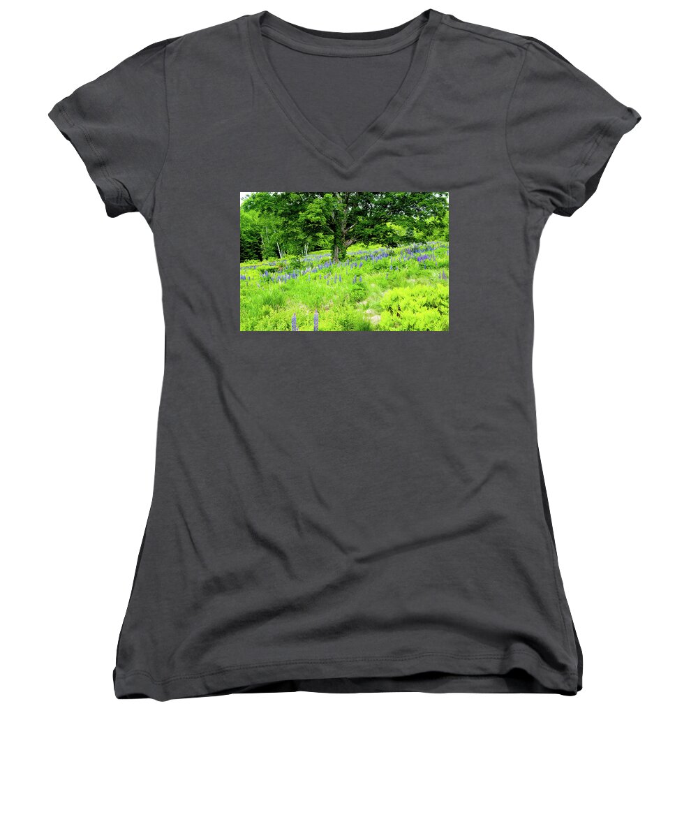 Franconia Notch Women's V-Neck featuring the photograph The Protector by Greg Fortier