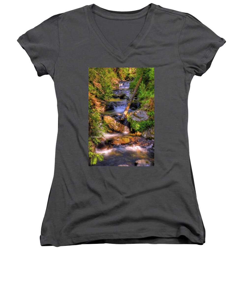 Grass Women's V-Neck featuring the photograph The Quinault Stream by Richard J Cassato