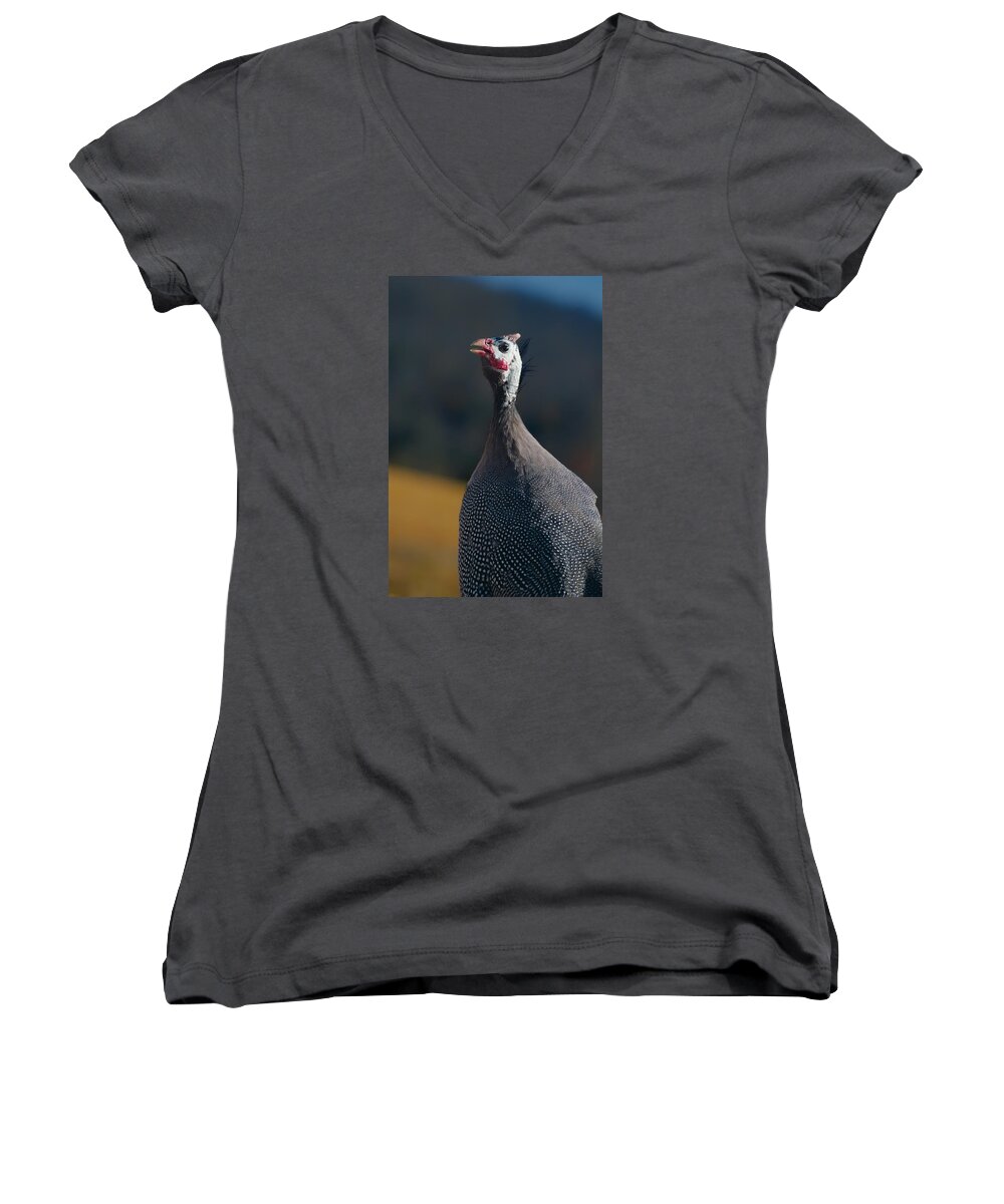 Bird Women's V-Neck featuring the photograph The Singing Guinea by Grant Groberg