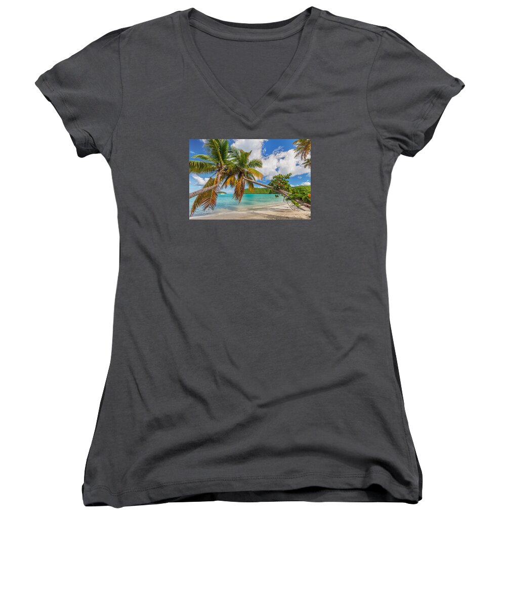 Palm Trees Women's V-Neck featuring the photograph The sisters by Gary Felton
