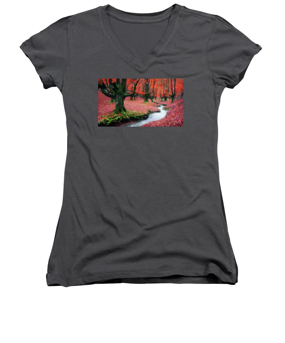 Autumn Women's V-Neck featuring the photograph The stream of life by Mikel Martinez de Osaba