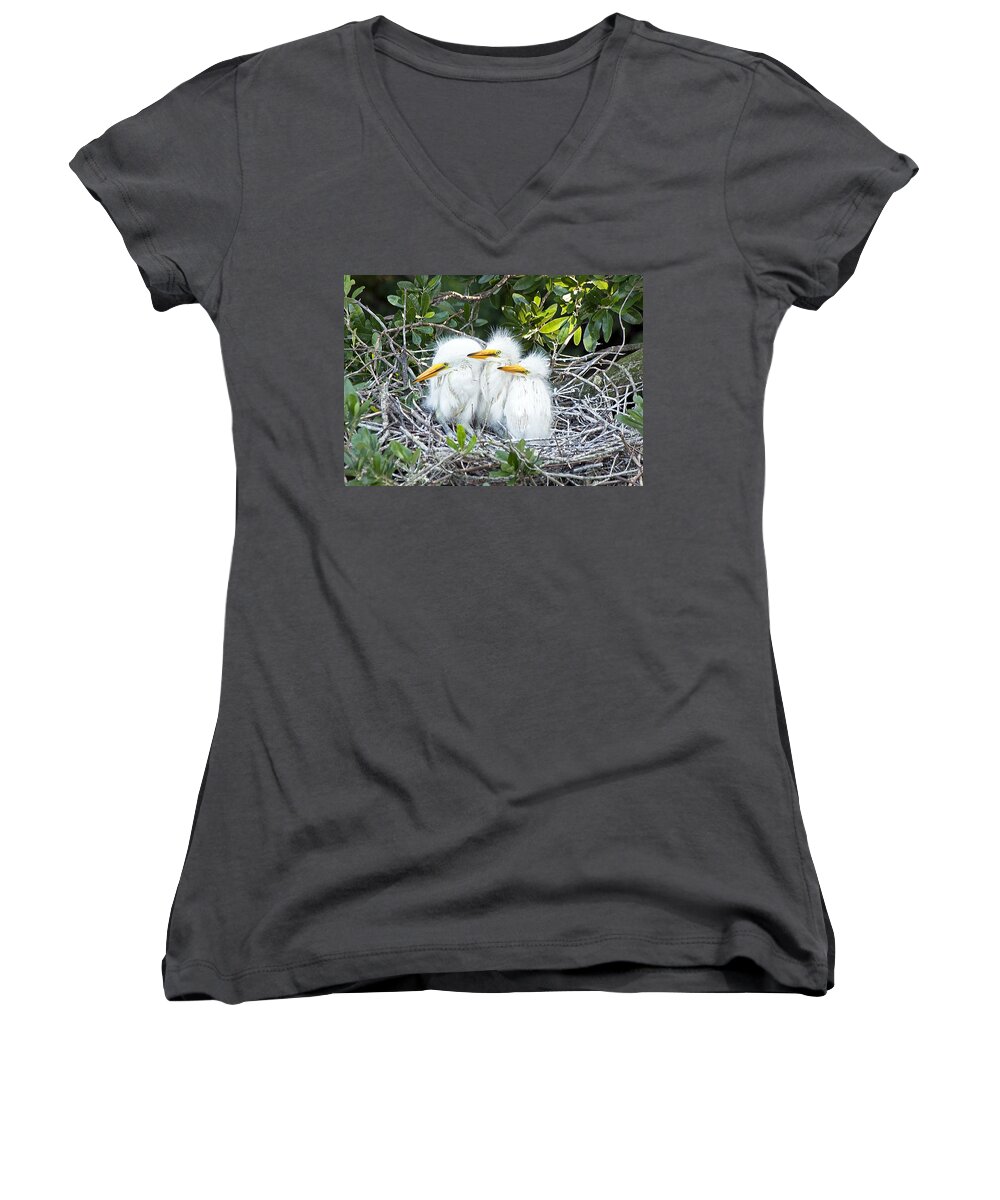 Egret Women's V-Neck featuring the photograph The Three Stooges by Kenneth Albin