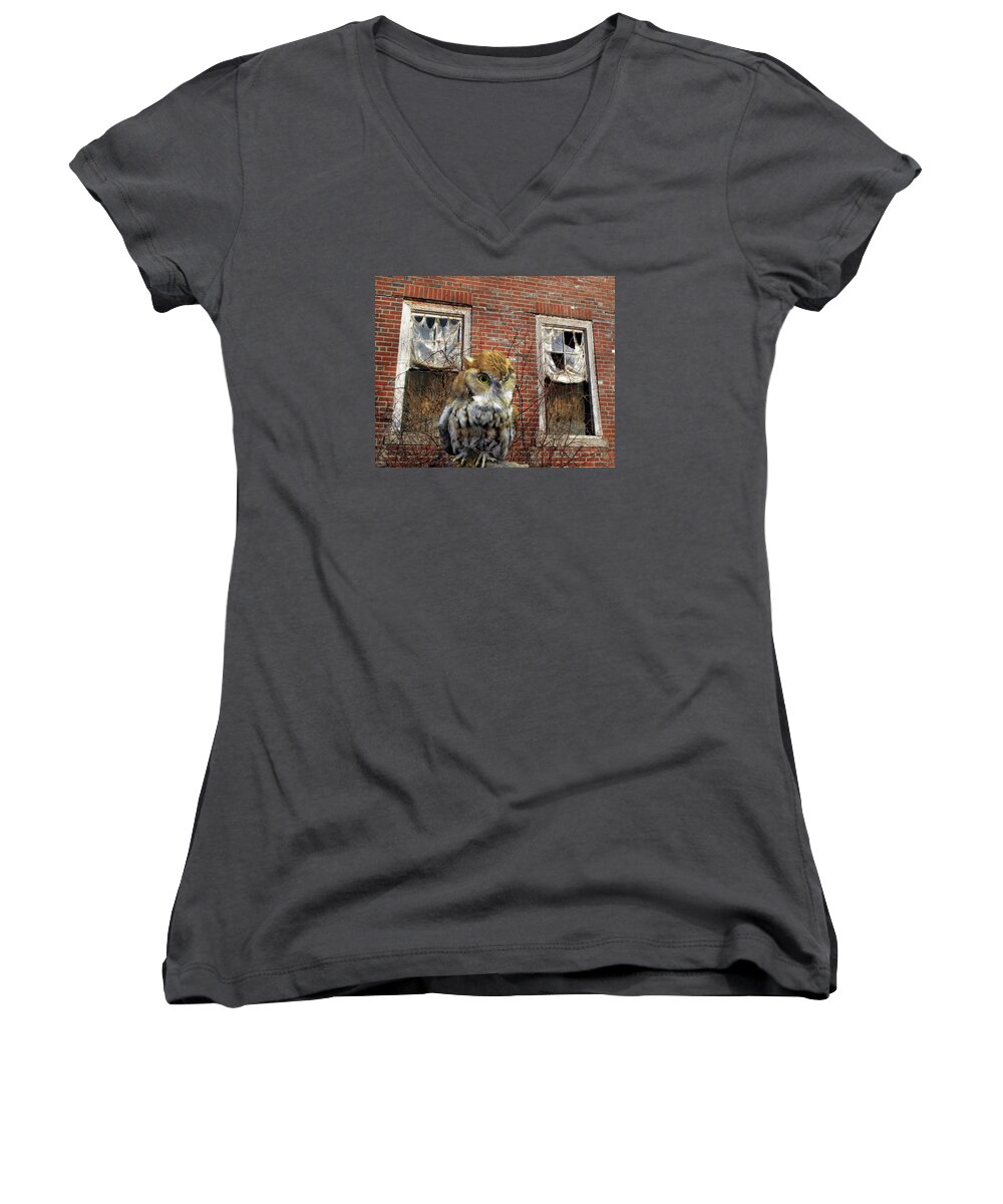 Owl Women's V-Neck featuring the photograph The Watch by Lynda Lehmann