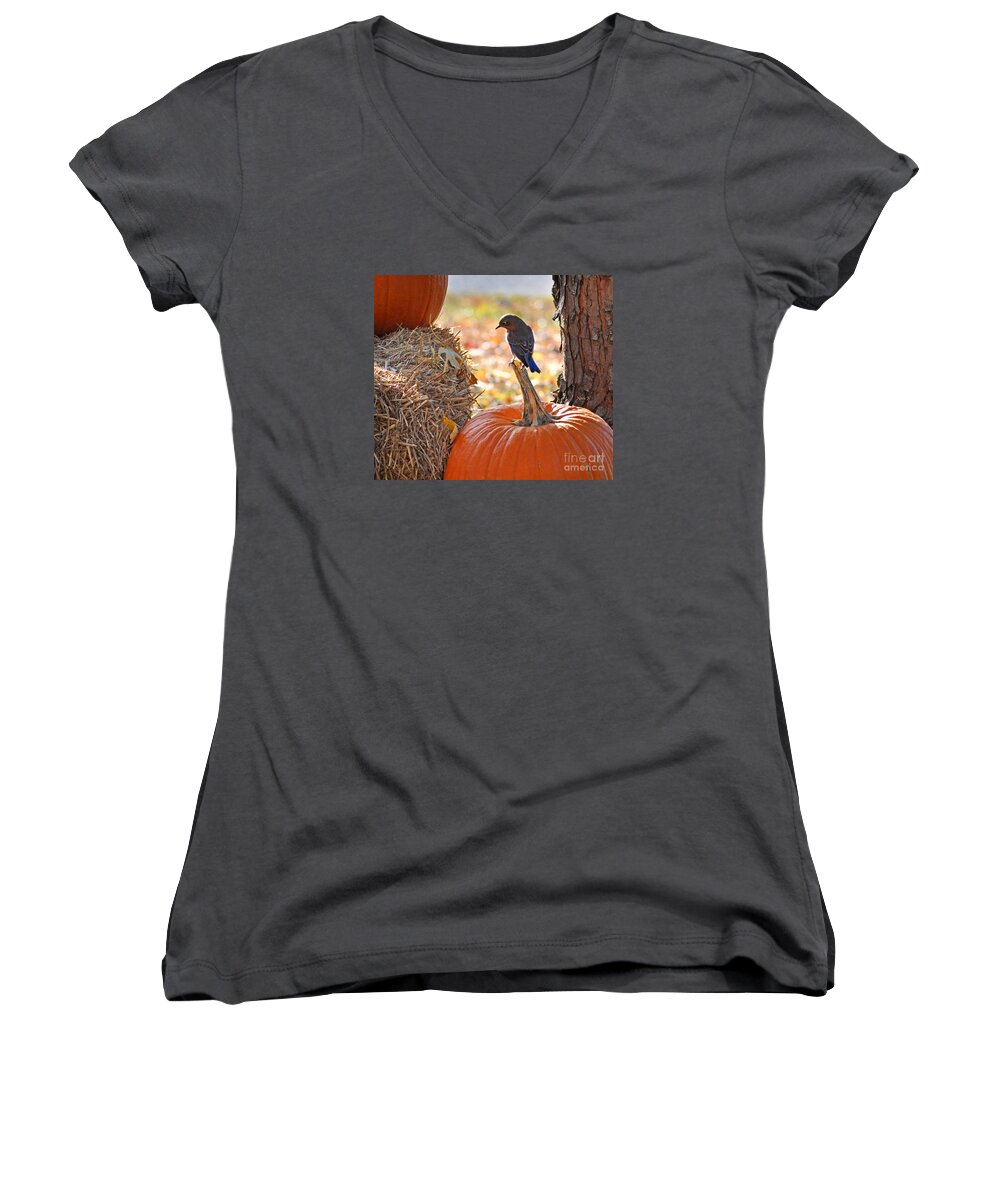 Nature Women's V-Neck featuring the photograph Thinking Pumpkin Pie by Nava Thompson
